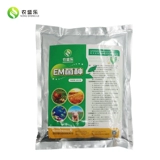 Nongshengle em бактерии