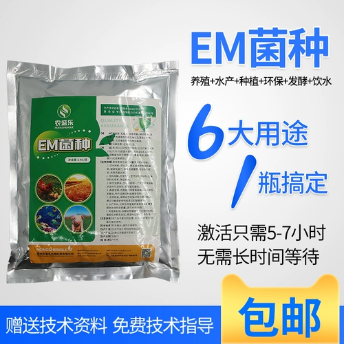 Nongshengle em бактерии