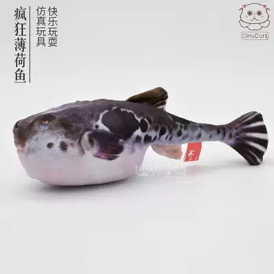 DinaCats Taiwan AMY cat toy catnip pillow simulation grass carp puffer fish trout mint fish 4 kinds