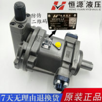 Jiangsu Hengyuan Hydraulic HY80Y-RP 25Y 40Y 10Y 63Y-LP 160Y 250Y-RP plunger oil pump