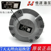 Jiangsu Hengyuan Tsuda HY10 16 25 32 32 55 40 63 63 80125 160M-RP axial plunger pump