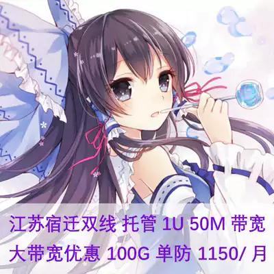 Hosting]Jiangsu Suqian 3-line BGP high-defense server hosting rental rental game MC Minecraft legend