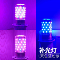 LED socket with line blue pink purple night light shake sound with net Red Live fill light photo multi-color atmosphere