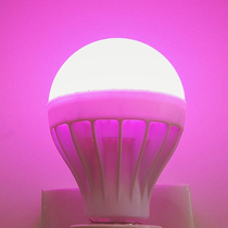 Pink LED light energy-saving light atmosphere flirting bulb E27 screw mouth purple pink light powder erotic dimming source color