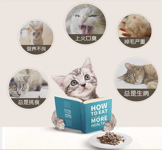 Thức ăn cho mèo Kaifeier 10kg, mèo non, thức ăn cho mèo, thức ăn chủ yếu cho mèo - Cat Staples thức ăn khô cho mèo