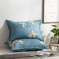 Pillowcase envelope type 48x74 adult couple large pillowcase single cute student pillow core cover four seasons universal