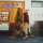 Мужская обувь Dickies, новинка 2025 года, зимняя мужская обувь, мужские трендовые кроссовки, мужская уличная повседневная обувь mini 4
