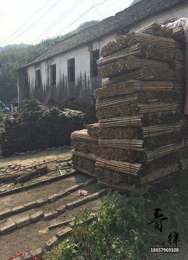 葫芦 丝巴乌 实用 教程 Li Chunhua cho người mới bắt đầu sách giáo khoa giới thiệu - Nhạc cụ dân tộc đàn tì bà