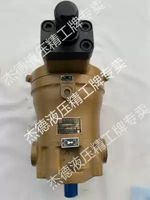 Qidong High Pressure Oil Pump Seiko Piston Pump 10 25 63 80 160y14-1b-t t Motor Group indenter