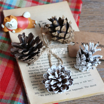 Beauty Tasong fruit Christmas pine cone home decoration photography photo shoot picture props natural dried fruit pine Tower