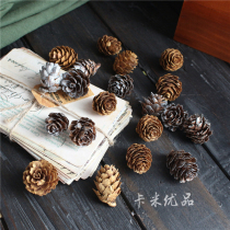 Dyeing Golden small pine flower home decoration photography props natural dried fruit pine Tower dried flower immortal flower box