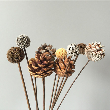 Pine fruit dried flower Flower Flower Flower Flower dried fruit handmade road Road dried fruit art home decoration grocery store Yunnan decoration dried flower