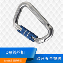 Manufacturer Direct Marketing Outdoor D Type Automatic Safety Buckle Mountaineering Buckle Aerial Aluminum Wire Buckle Main Lock Safety Buckle Quick Hanging buckle