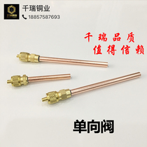 Refrigerator check valve fluorination Nozzle nozzle needle valve fluoridation quick connector copper check valve