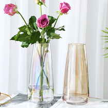 Light luxury glass vase ornaments modern simple living room transparent hydroponic vase Nordic dining table decoration creativity