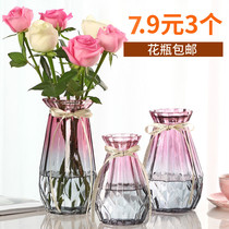 Nordic creative glass vase transparent hydroponic green plant glass vase household flower arrangement living room decoration ornaments