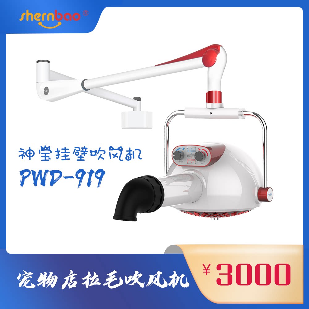 Shenbao New Pint Rahair Machine Pet Store Lafur Hair Dryer Lasting Styling Negative Ion Blow Dog Lafur Machine