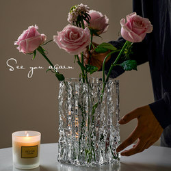 High-End Vase Decoration, Trendy ins Style, Transparent Glass, Water-Cultured Flower Arrangement, Fresh Flowers, Living Room Dining Table Home Decoration