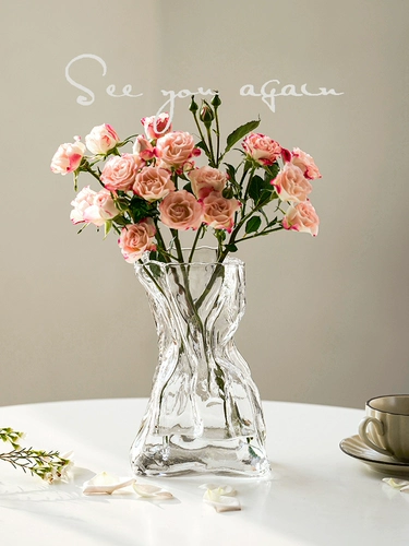 Расширенное чувство простоты, творческий нерегулярный жилье, общежитие, прозрачная стеклянная гостиная на рабочем столе для цветочных условий