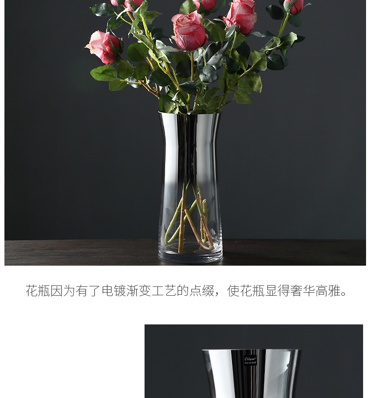 Bình thủy tinh tối giản phòng khách Bắc Âu văn hóa nước lớn cắm hoa lily hoa ly thủy tinh trang trí bàn trang trí - Vase / Bồn hoa & Kệ giỏ treo hoa ban công