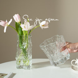 Vase with a High-End Feel, ins Style, Glass Transparent, Light Luxury, Suitable for Living Room, Water-Grown Flowers, Guesthouse Dining Table Flower Arrangement Decoration