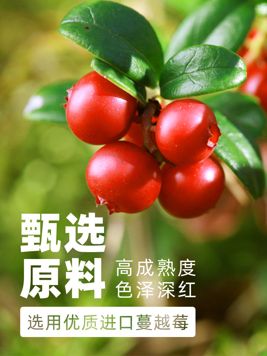 Dried Cranberries, Special Ingredients for Baking Snowflake Cakes, No Additives, Ready-To-Eat Biscuits, Official Flagship Store of Man Yue Mei
