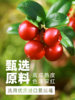 Dried Cranberries, Special Ingredients for Baking Snowflake Cakes, No Additives, Ready-To-Eat Biscuits, Official Flagship Store of Man Yue Mei