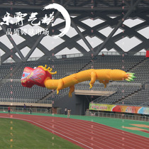 Large lift-off dragon custom large lift-off cartoon Air model factory direct simulation high stereo modeling