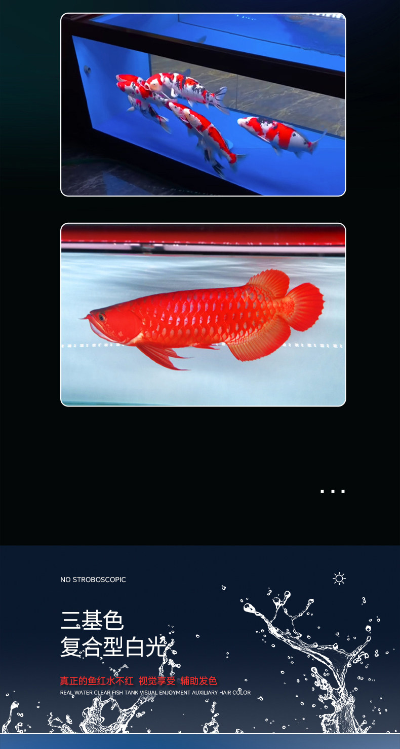 马印神灯龙鱼灯专用水族箱灯三基色增色灯水草灯鱼缸灯led灯防水 detail 9