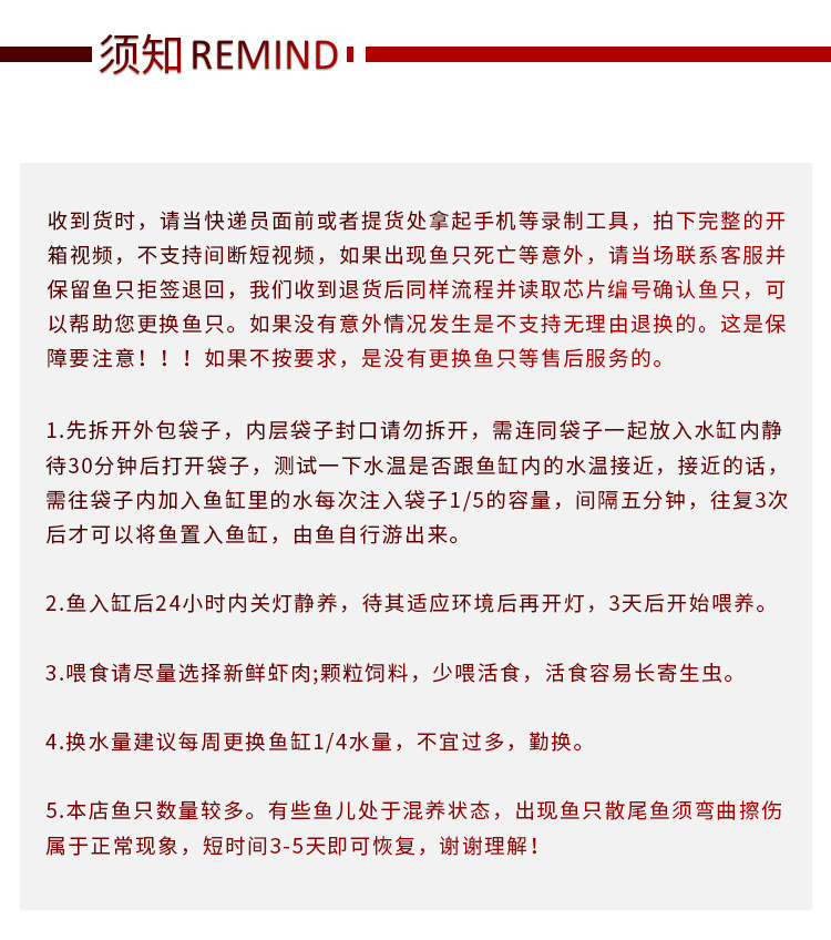 龙鱼活体印尼红龙鱼观赏鱼幼鱼热带鱼大型活体鱼红龙鱼金龙鱼活鱼 detail 13
