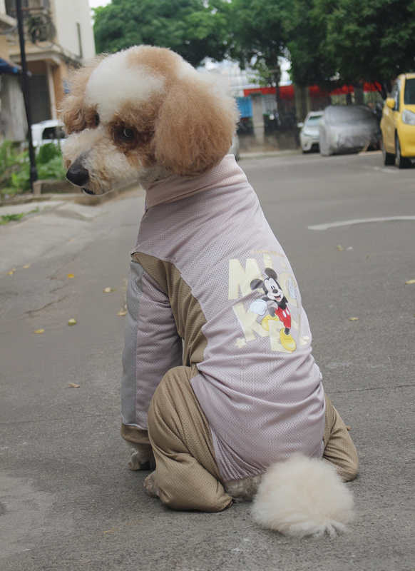 Large Dog Couple Outfits Summer Four-Legged Clothing Anti-Dirt Breathable Casual Pants for Border Collies, Golden Retrievers, and Other Large Dogs