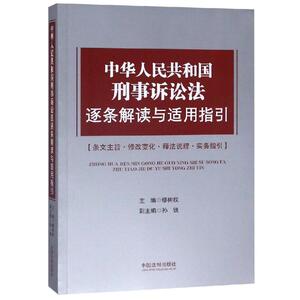 中华人民共和国刑事诉讼法逐条解读与适用指引 缪树权 等 著 法学理论 社科 中国法制出版社