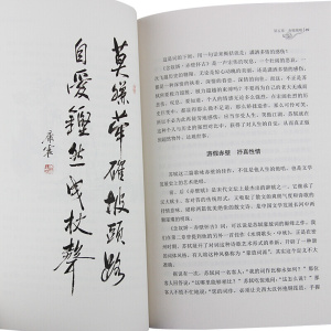 康震讲诗词系列(全10册) 康震 著 中国古典小说、诗词 文学 中华书局