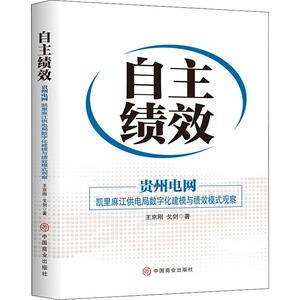 自主绩效 贵州电网 凯里麻江供电局数字化建模与绩效模式观察 王京刚,戈剑 著 管理理论 经管、励志 中国商业出版社