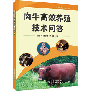 肉牛高效养殖技术问答 董建平,师军锋,辛绪峰 编 养殖 专业科技 中国农业出版社 9787109267756