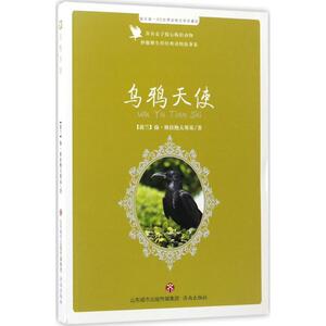 乌鸦天使 (波)扬·格拉鲍夫斯基 著;傅彩霞 改编 著作 儿童文学 少儿 济南出版社