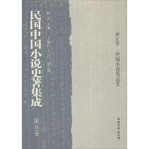 民国中国小说史著集成 陈洪 主编 著 中国现当代文学理论 文学 南开大学出版社