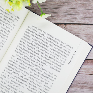 素问新论:中医的逻辑 王济武 著 中医各科 生活 清华大学出版社