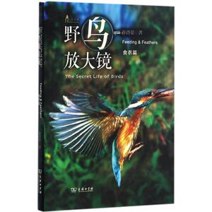 野鸟放大镜 许晋荣 著 著 生物科学 专业科技 商务印书馆 9787100123761