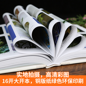 中国兰花名品珍品鉴赏图典(第三版) 无 著 刘清涌 编 生活休闲 生活 福建科学技术出版社
