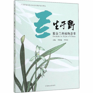 兰生于野 紫金兰科植物荟萃 郑裕庭,叶钦良 编 生物科学 专业科技 中国林业出版社 9787521905328
