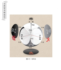 官方正版 吴述伤寒杂病论研究 吴雄志著 辽宁科学技术出版社 伤寒病例分析宝典 标本聚类平脉抓独 中医养生 中医基础理论书籍