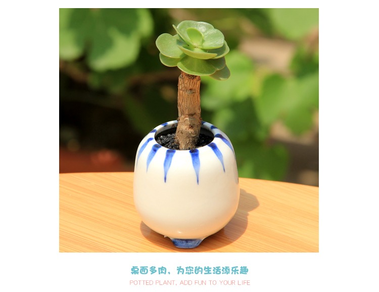 Blue and white thumb meat flowerpot ceramic indoor small stones form creative mini round special offer a clearance flower pot