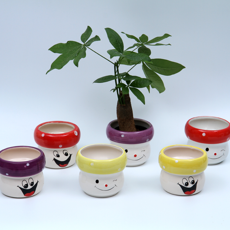 Fleshy flowerpot creative cartoon small size ceramic flower pot office desktop Fleshy celestial being with lovely and fun
