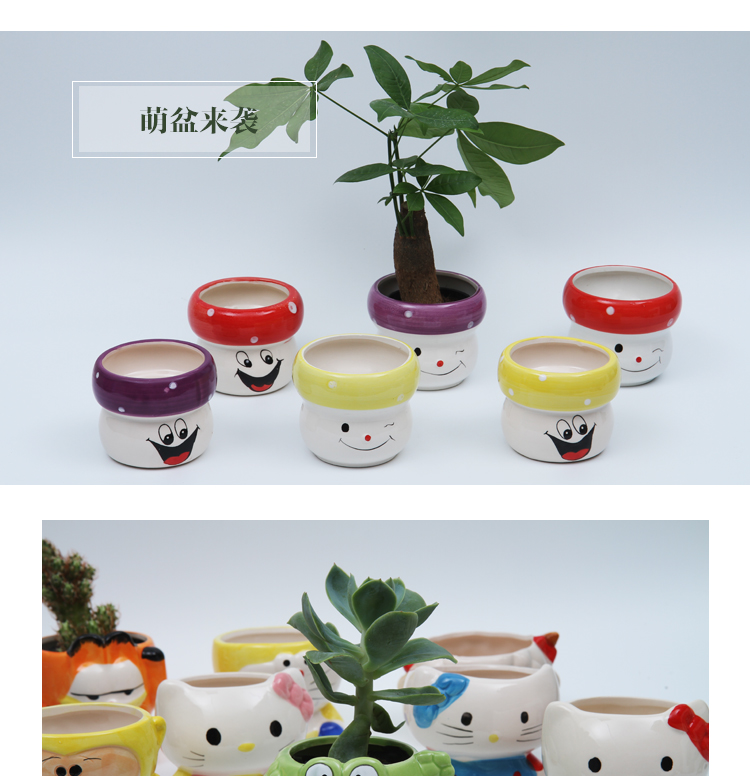 Fleshy flowerpot creative cartoon small size ceramic flower pot office desktop Fleshy celestial being with lovely and fun