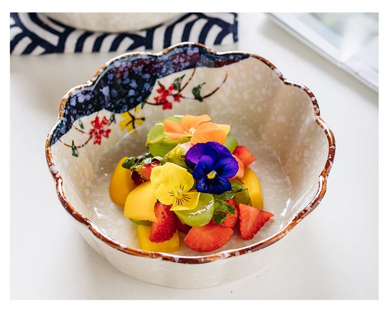 Japanese creative household fruit salad bowl move dessert bowl of the food bowl of ice cream ceramic bowl of salad bowl cake