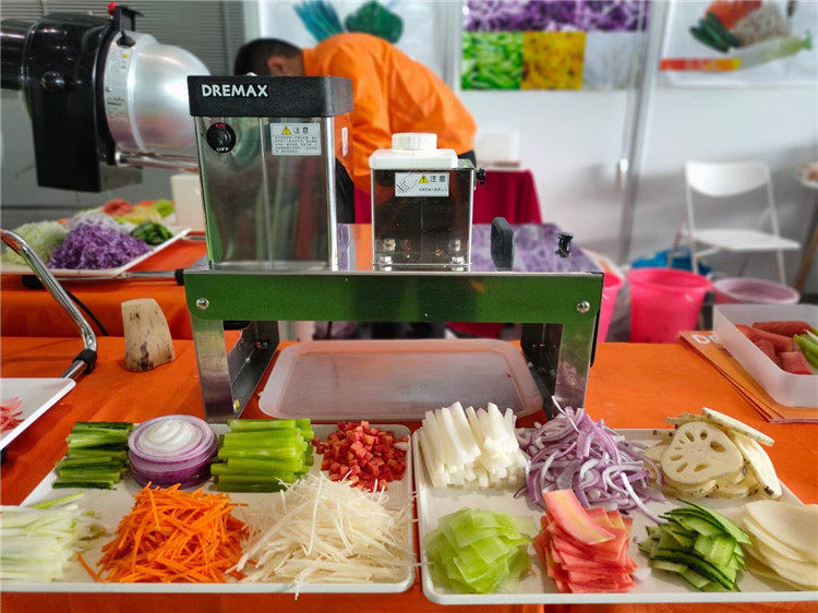 Japan DREMAX multi-function vegetable cutting machine DM-91D vegetable and fruit chopper chain store vegetable shredding slicer
