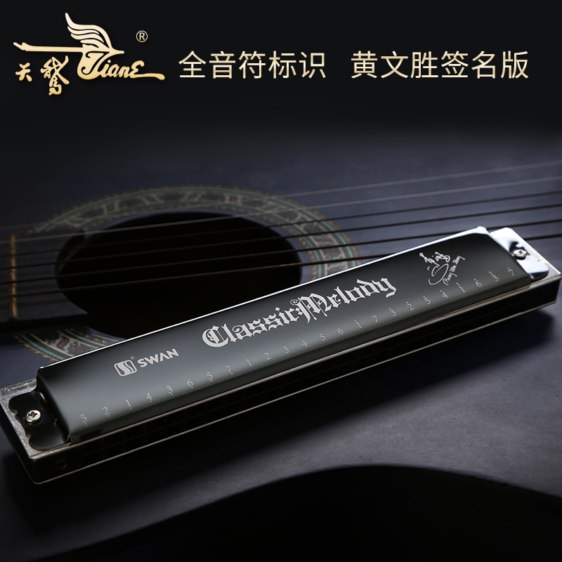 Swan harmonica 24 holes beginners Children adult c Professional advanced secondary school teaching aids redubbing harmonica instruments