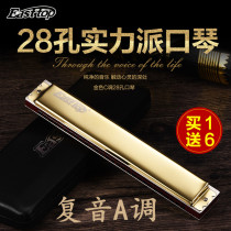 German imported Reed 28-hole polyphonic harmonica A wide range harmonica advanced adult professional performance instrument