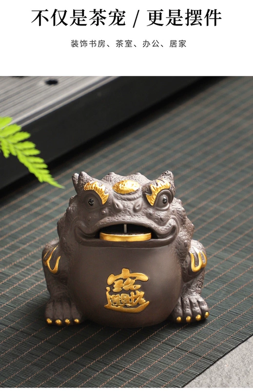 Tao Fuqi Trà Thú Cưng Trang Trí Boutique Có Thể Nuôi Cát Tím Cóc Vàng Cao Cấp Bàn Trà Trà Chơi Kung Fu bộ Trà Phụ Kiện